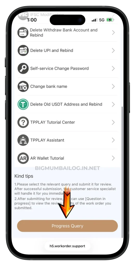 BIG-MUMBAI-CUSTOMER-SERVICE-PAGE