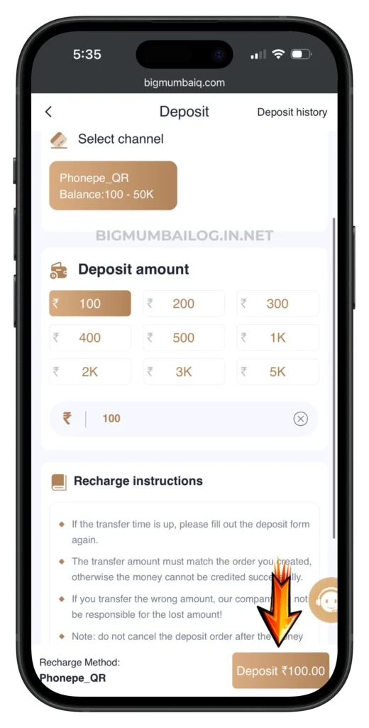 BIG-MUMBAI-DEPOSIT-PAGE